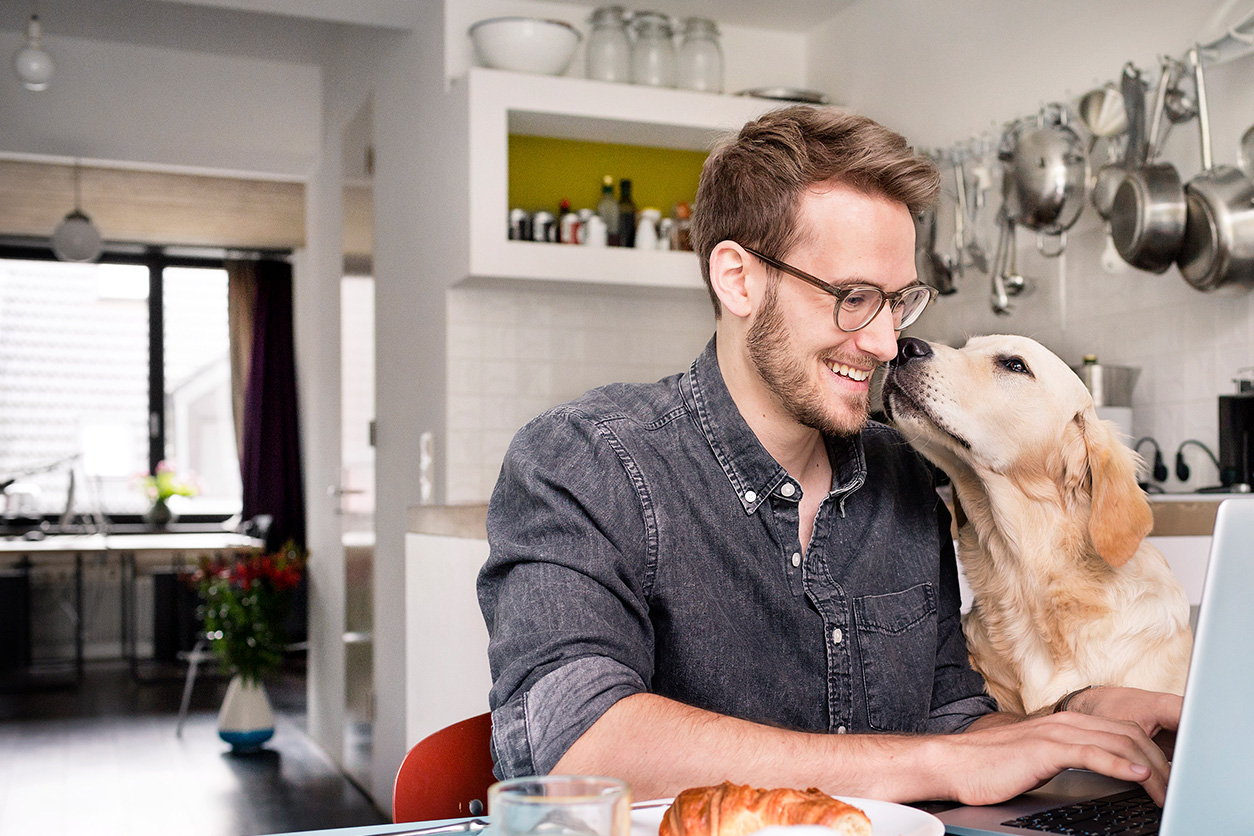 man on his laptop, with a dog beside him